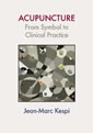 Acupuncture: from symbol to clinical practice