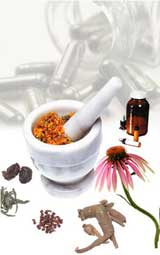 ANTA Natural Therapies Homoeopathy